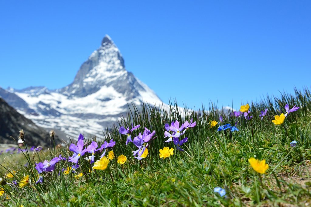 Lufthansa Mileage bargains require half of the miles!