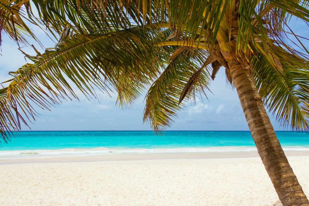 fly to the Seychelles using miles & points